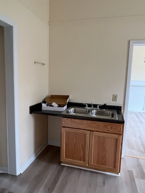 bathroom featuring wood finished floors, baseboards, and a sink