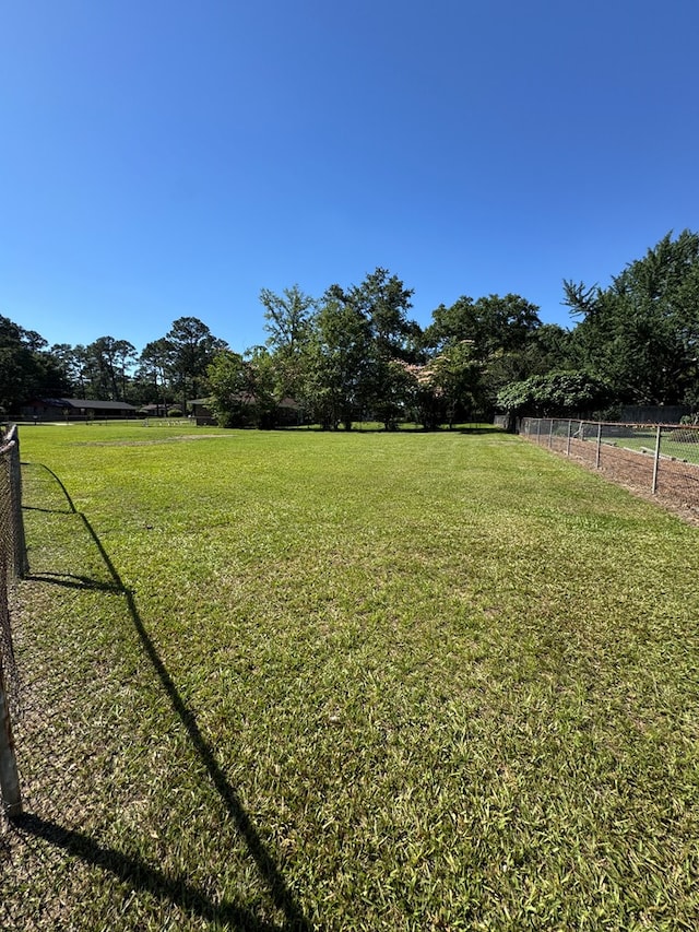 629 Coe Dairy Rd, Dothan, AL 36301 - view of yard