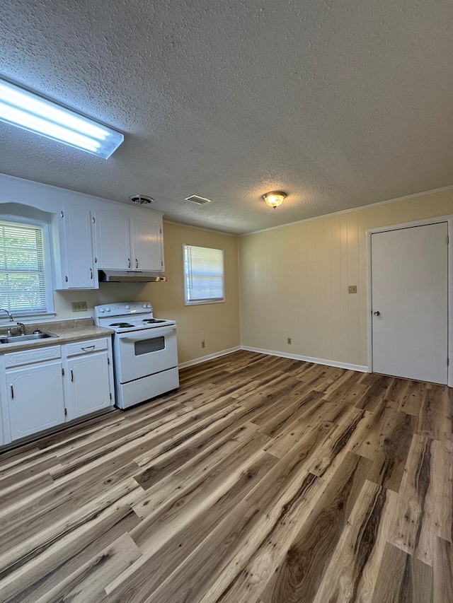 629 Coe Dairy Rd, Dothan, AL 36301 - kitchen featuring electric range, a sink, wood finished floors, a textured ceiling, and white cabinets