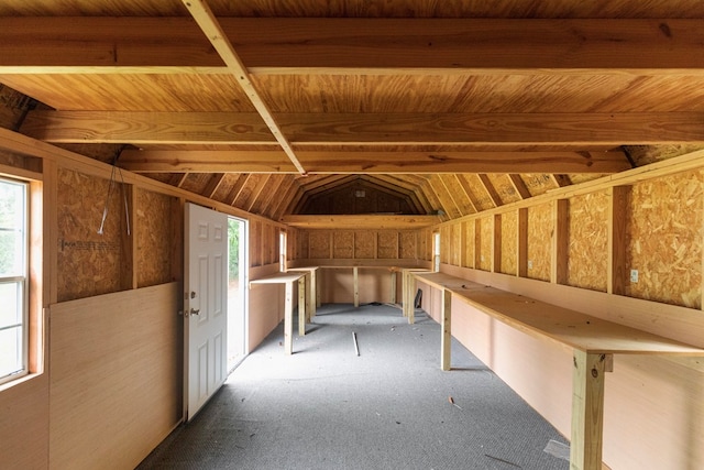 attic with a healthy amount of sunlight