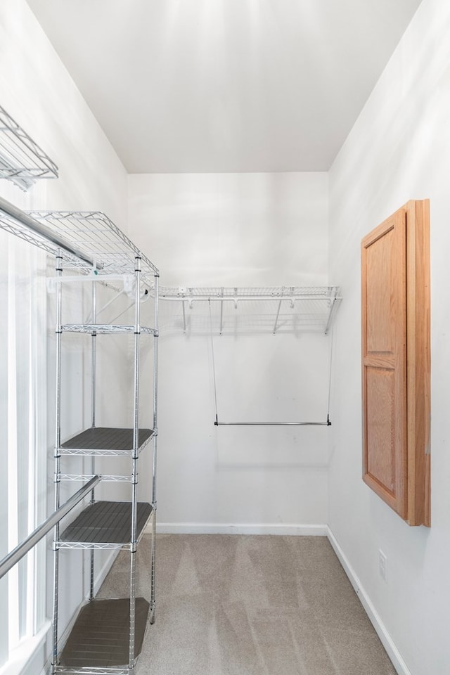 spacious closet featuring light carpet