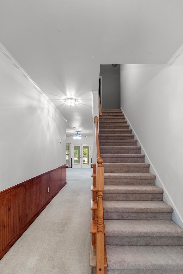 staircase with carpet flooring, ceiling fan, and ornamental molding