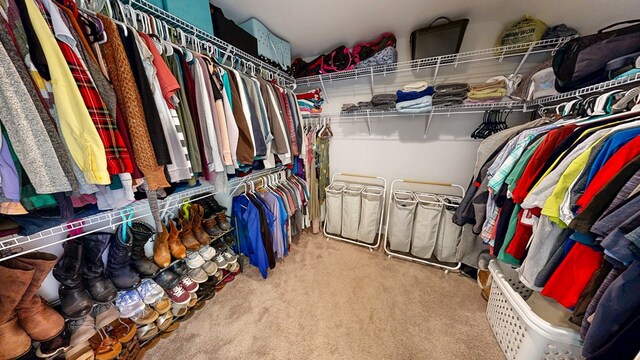 160 Sandbed Rd, Newton, AL 36352 - spacious closet with carpet flooring