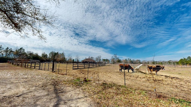 view of yard featuring a rural view