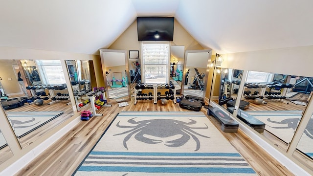 exercise room featuring lofted ceiling, hardwood / wood-style flooring, and a wealth of natural light