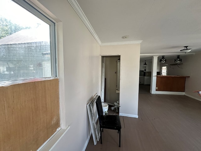 corridor with crown molding, plenty of natural light, wood finished floors, and baseboards