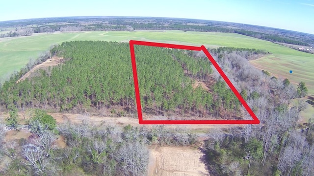 0-LOT2 Ozark Rd, Newville AL, 36353 land for sale