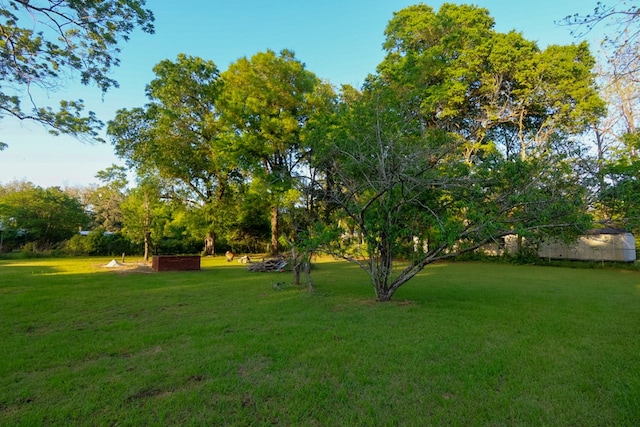 407 S Washington St, Columbia, AL 36319 - view of yard