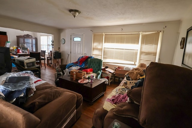 407 S Washington St, Columbia, AL 36319 - living area featuring wood finished floors