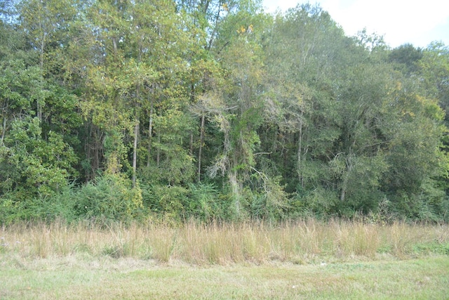 10AC Boll Weevil Cir, Enterprise, AL 36330