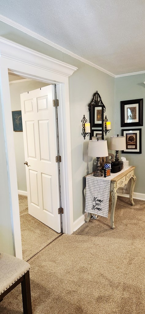 207 W Pullum St, Samson, AL 36477 - office area with carpet floors, crown molding, and a textured ceiling