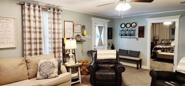 207 W Pullum St, Samson, AL 36477 - living room featuring carpet, ceiling fan, and crown molding