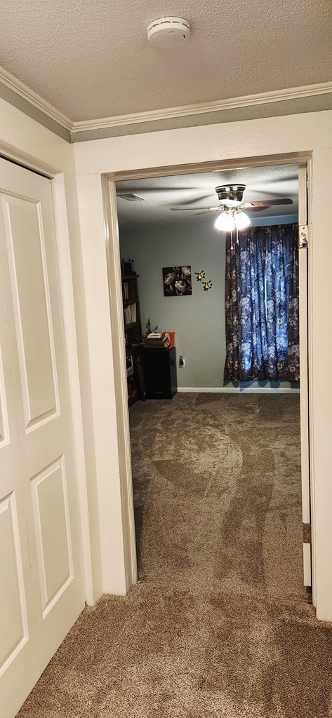 207 W Pullum St, Samson, AL 36477 - hall with carpet flooring, crown molding, and a textured ceiling