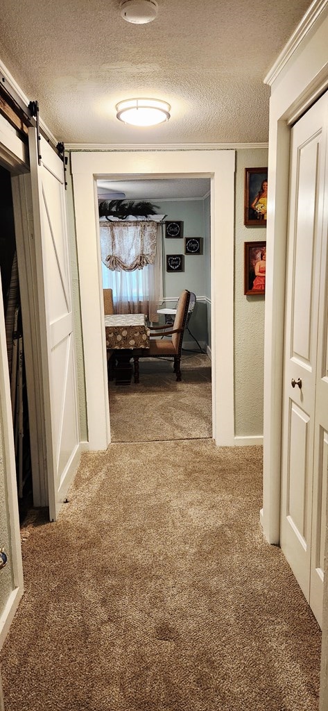 207 W Pullum St, Samson, AL 36477 - hall with carpet, a textured ceiling, a barn door, and crown molding
