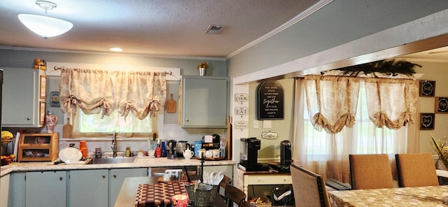 207 W Pullum St, Samson, AL 36477 - kitchen with ornamental molding, light countertops, and gray cabinets