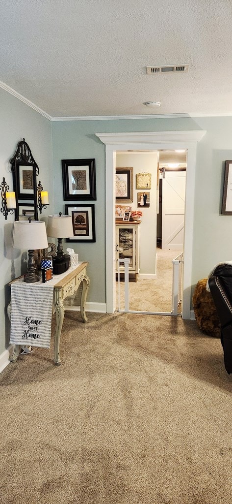 207 W Pullum St, Samson, AL 36477 - home office featuring carpet flooring, ornamental molding, a textured ceiling, and a barn door