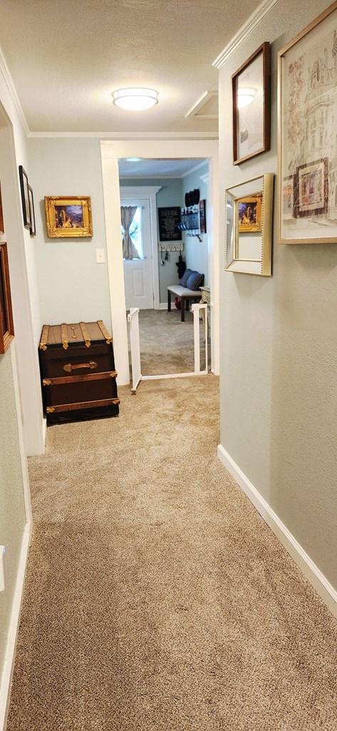 207 W Pullum St, Samson, AL 36477 - hall featuring carpet flooring, ornamental molding, and a textured ceiling