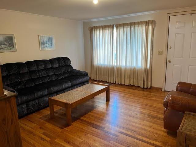 living room with wood-type flooring