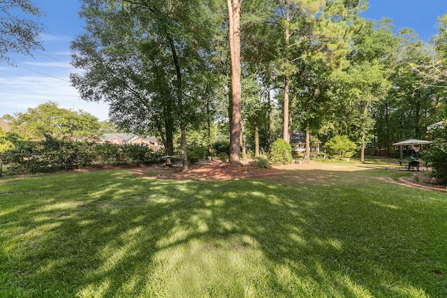 108 Mulberry Ct, Dothan, AL 36303 - view of grassy yard