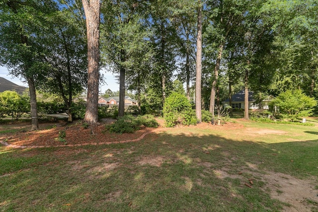 108 Mulberry Ct, Dothan, AL 36303 - view of green lawn