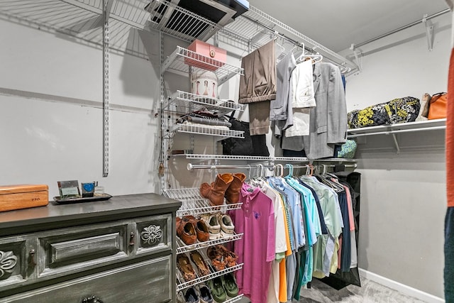 108 Mulberry Ct, Dothan, AL 36303 - view of walk in closet