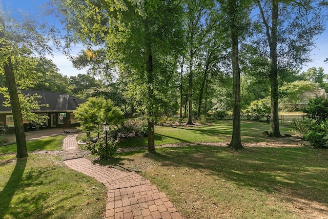 108 Mulberry Ct, Dothan, AL 36303 - view of green lawn