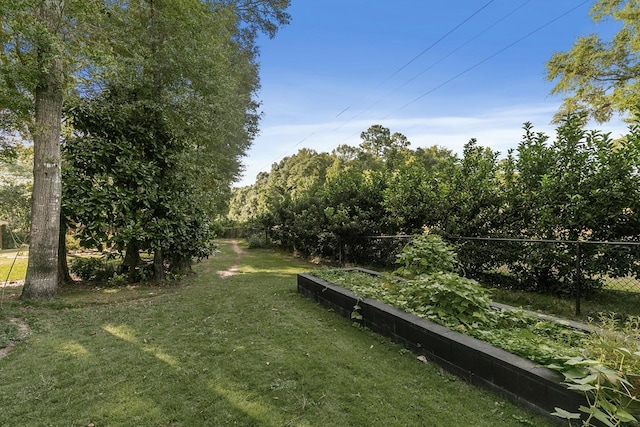 108 Mulberry Ct, Dothan, AL 36303 - view of yard