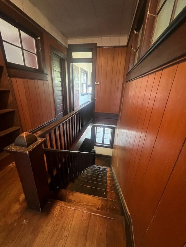 staircase featuring wood walls and wood-type flooring