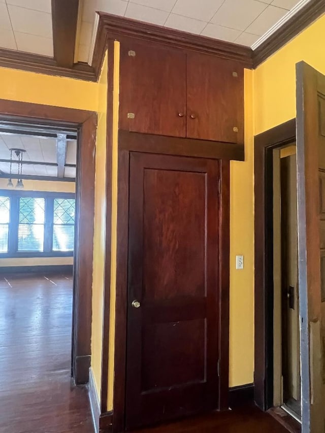 hall featuring crown molding and dark wood-type flooring