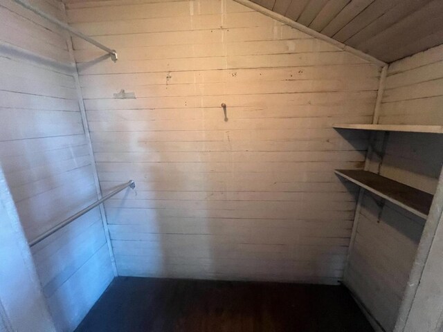 spacious closet featuring lofted ceiling