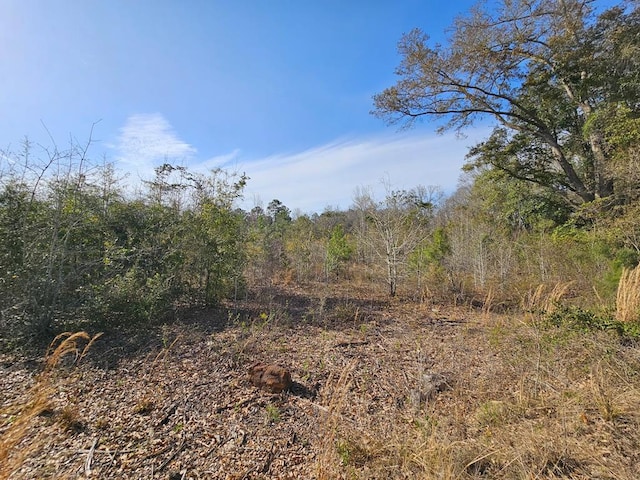 14.5ACRES Providence Rd, Slocomb AL, 36375 land for sale