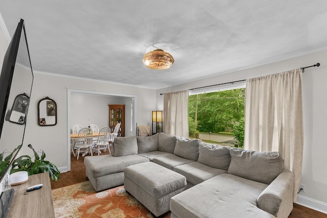 living room with baseboards and crown molding