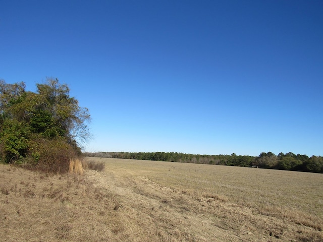 0 County Road 177, Shorterville, AL 36373 - photo 3