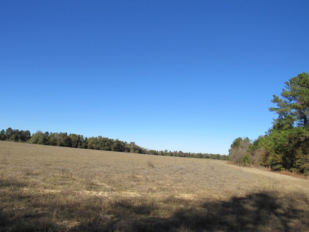 0 County Road 177, Shorterville, AL 36373 - photo 4
