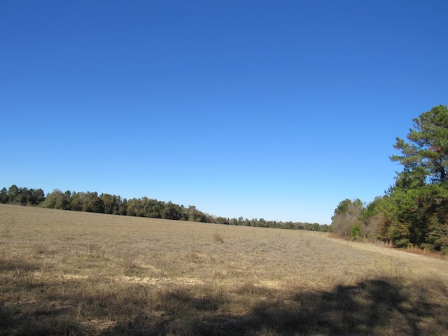 0 County Road 177, Shorterville, AL 36373 - photo 4