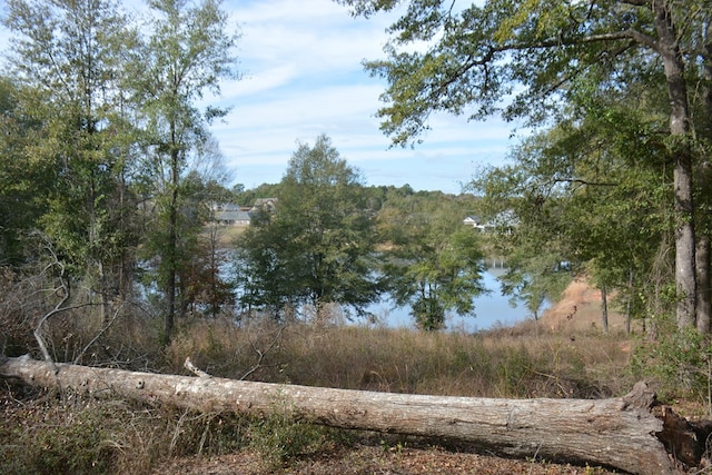 TBD Meriwether Rd, Enterprise, AL 36330 - photo 2