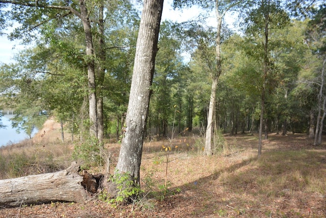 TBD Meriwether Rd, Enterprise, AL 36330 - photo 12