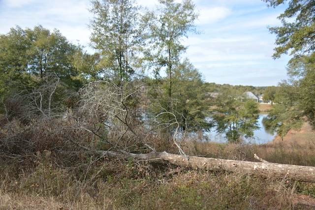 TBD Meriwether Rd, Enterprise, AL 36330 - photo 8