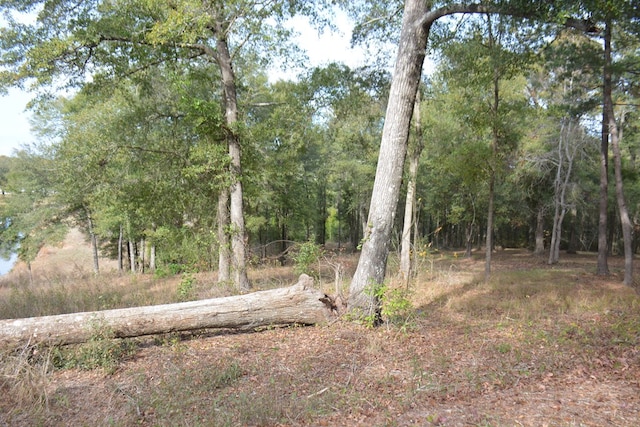 TBD Meriwether Rd, Enterprise, AL 36330 - photo 6