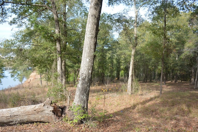 TBD Meriwether Rd, Enterprise, AL 36330 - photo 11