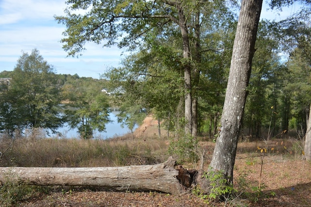 TBD Meriwether Rd, Enterprise, AL 36330 - photo 9