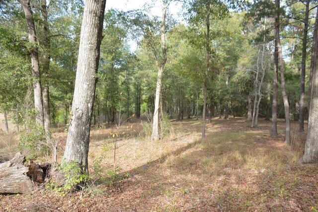 TBD Meriwether Rd, Enterprise, AL 36330 - photo 13
