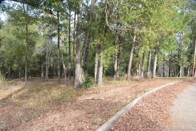 TBD Meriwether Rd, Enterprise, AL 36330 - photo 7