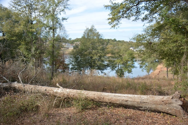 TBD Meriwether Rd, Enterprise, AL 36330 - photo 14