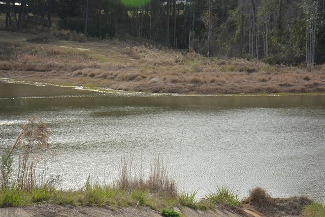 TBD Meriwether Rd, Enterprise, AL 36330 - photo 18