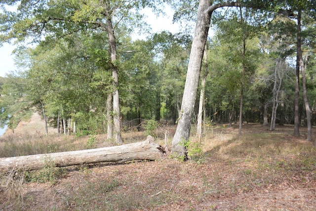 TBD Meriwether Rd, Enterprise, AL 36330 - photo 5