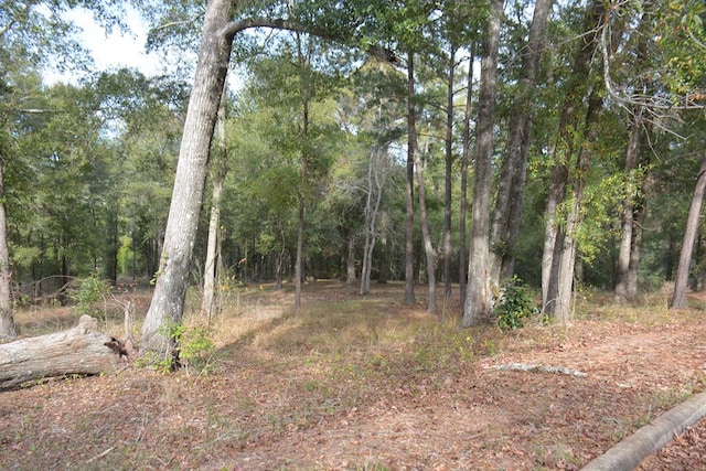 TBD Meriwether Rd, Enterprise, AL 36330 - photo 1