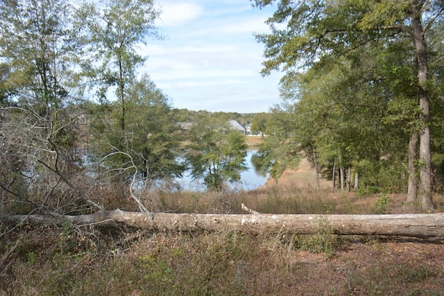 TBD Meriwether Rd, Enterprise, AL 36330 - photo 4