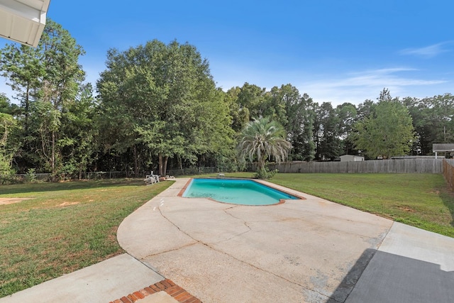 view of swimming pool with a patio area and a yard