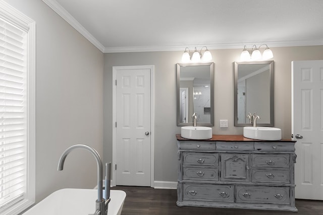 bathroom with vanity, wood-type flooring, and crown molding